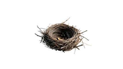 Empty Bird's Nest on Transparent background - Nature Photography