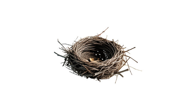 Empty Bird's Nest on Transparent background - Nature Photography