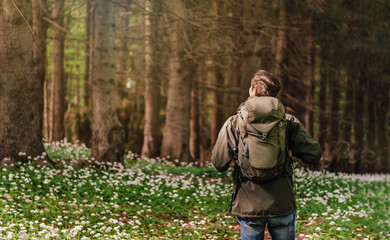 Man Walking through Blooming Forest Glade