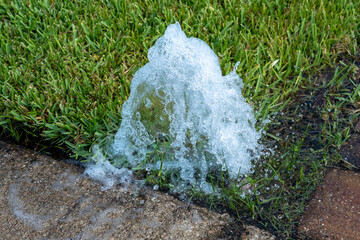 Broken Sprinkler Head Bubbling Up in Yard