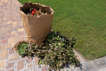 Close up of Bag of yard waste and trimmed branches by curb waiting to be picked up