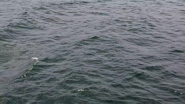 Waves of lake water from the boat with splashes competing with each other. Lake Toba with the side of the boat crossing from Tomok port to Parapat port, North Sumatra, Indonesia.