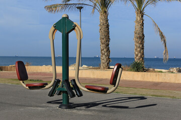 Sports activities against the backdrop of the sea and palm trees