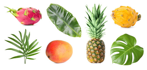 Tropical leaves and fruits isolated on white, set