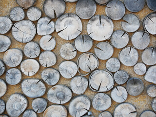 wall decorated with circular aged tree trunk slices placed side by side