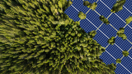 Solar panels installed in the green forest Clean alternative energy concept. Environment, solar...
