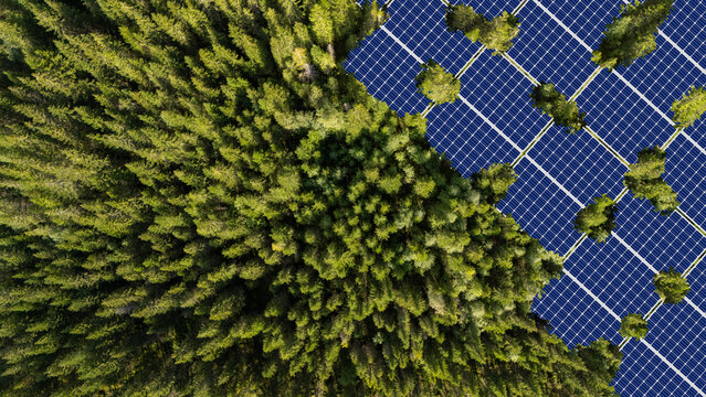 Solar panels installed in the green forest Clean alternative energy concept. Environment, solar energy, generator. - Powered by Adobe