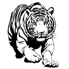 Obraz premium a black and white illustration of a tiger black, drawing, illustration, tiger , Generative art.