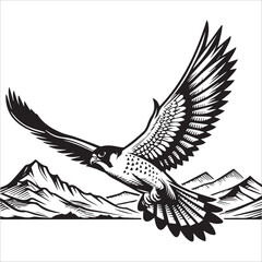Obraz premium Peregrine Falcon Soaring Over Desert