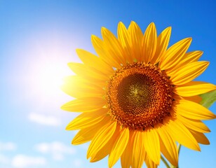 Obraz premium A high-definition close-up of a golden daisy-like flower, emphasizing the textured core and radiating vibrant petals.