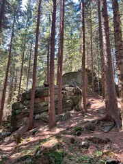 Granite rock formations near Mumlava Waterfall, Czechia, sculpted by erosion