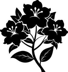 black and white floral design