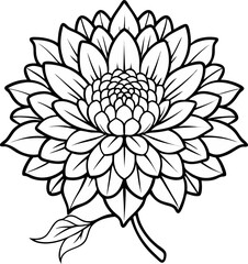 vector illustration of lotus flower