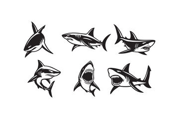 Powerful shark illustrations ready for your fierce designs or bold branding projects with a touch of marine mystique and oceanic edge
