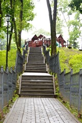 wooden bridge in the park
