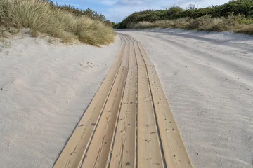 wooden plank path through the dunes at the North Sea coast in Zeeland, Netherlands