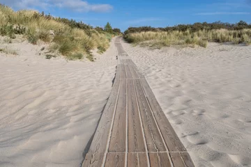 Photo sur Plexiglas wooden plank path through the dunes at the North Sea coast in Zeeland, Netherlands