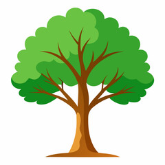 Clean Baobab Tree Clipart Graphic