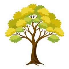 Clean Desert Lime Fruit Clipart Graphic