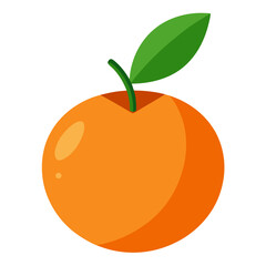 Clean Longan Fruit Clipart Graphic