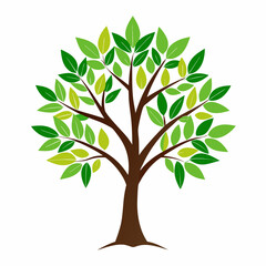 Obraz premium Modern Maple Tree Design Element