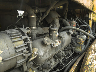 Old, rust-eaten trucks rest on a weed-choked wasteland, definitively out of service.