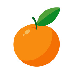 Modern Spruce Tree Design Element