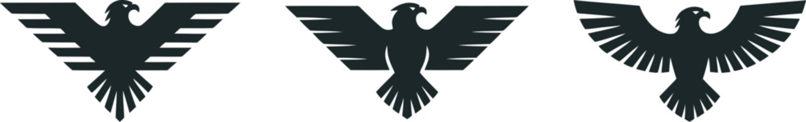 Eagle Logo Design Symbol of Freedom and Power