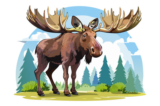 Depiction of moose with bold antlers, Moose buck or elk full body vector illustration, Bull moose alces standing (Alces alces)