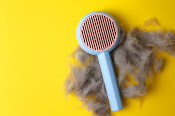 A Pet Hair Remover Featured on a Vibrant and Colorful Background 