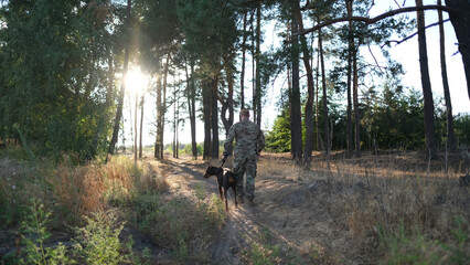 A man in military camouflage uniform walks through a pine forest with his Doberman dog. Soldier in summer