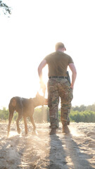 A man in military camouflage uniform walks through a pine forest with his Doberman dog. Soldier in summer