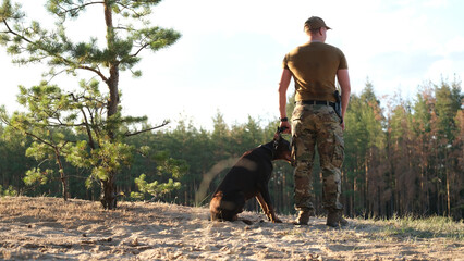 A man in military camouflage uniform walks through a pine forest with his Doberman dog. Soldier in summer