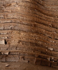 tree bark texture