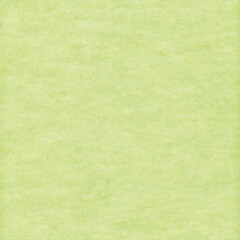 Pastel light green background with gentle fibrous paper texture, smooth soft surface, and subtle natural variations—ideal for stationery, invitations, journaling, crafts, and digital design projects.