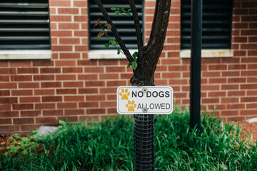 Sign prohibiting dogs near a tree in an urban area surrounded by brick buildings on a clear day