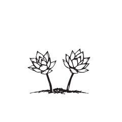Obraz premium Two stylized black and white lotus flowers drawn with a rough sketch style
