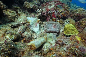Garbage and plastic bottles on coral reef. Nature pollution, waste in the sea. Seabed with cups and...