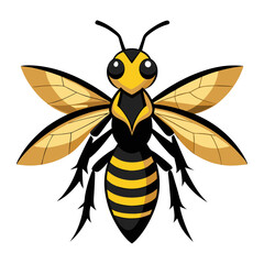 bee vector illustration