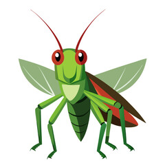 green grasshopper on a white background