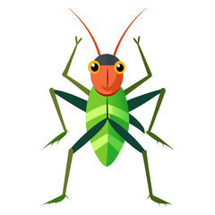 green grasshopper isolated on white