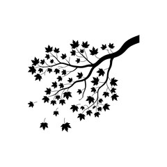 Falling Maple Leaves: Silhouette of a maple branch with leaves falling, creating a sense of autumnal transition and gentle movement.