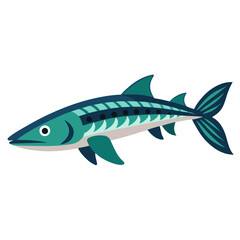 fish on a white background