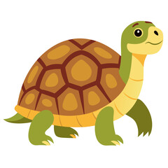 turtle vector illustration