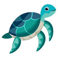 vector illustration of turtle