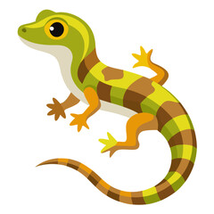 Fototapeta premium chameleon on a white background
