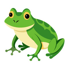 green frog on white background