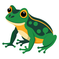 frog on white background