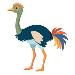 vector illustration of an ostrich