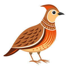 bird on a white background
